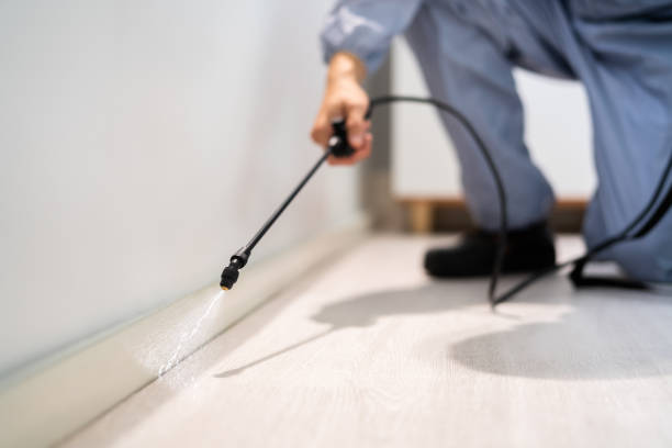 Bed Bug Pre-Treatment Preparation Assessment in Tekamah