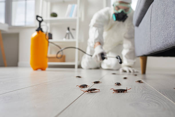 Post-Treatment Bed Bug Interceptor Monitoring in Tekamah