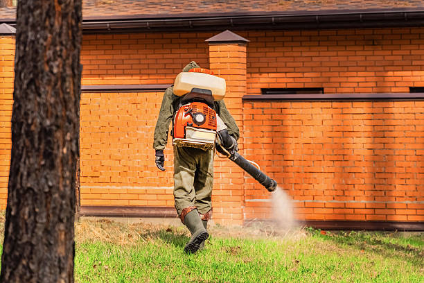 Bed Bug Clearance Verification and Documentation in Tekamah